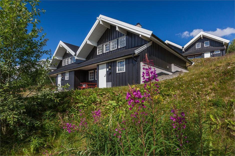 Beitostolen Resort Hytter Экстерьер фото